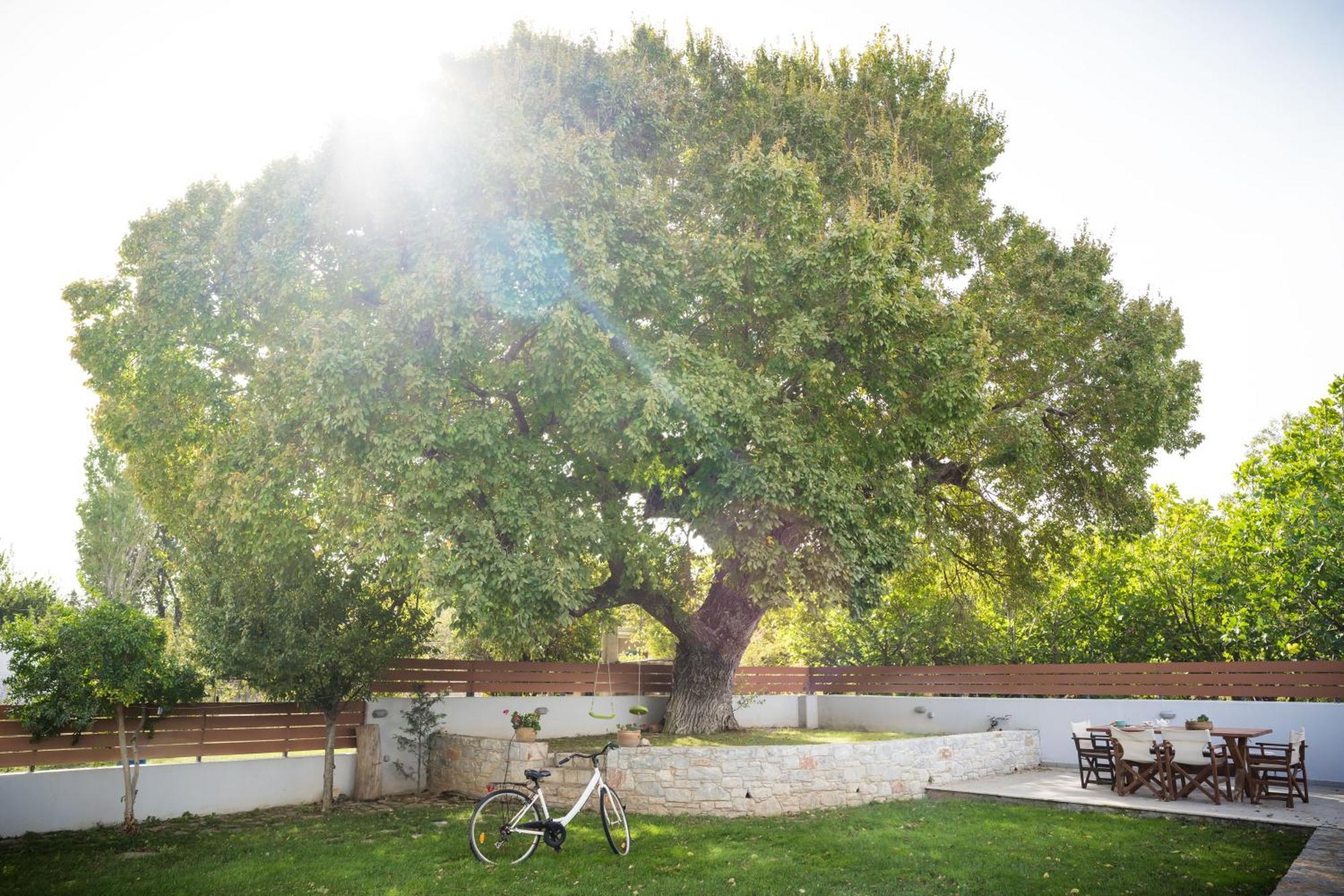 Villa Aggemari Απιδιάς Λάκκος Εξωτερικό φωτογραφία