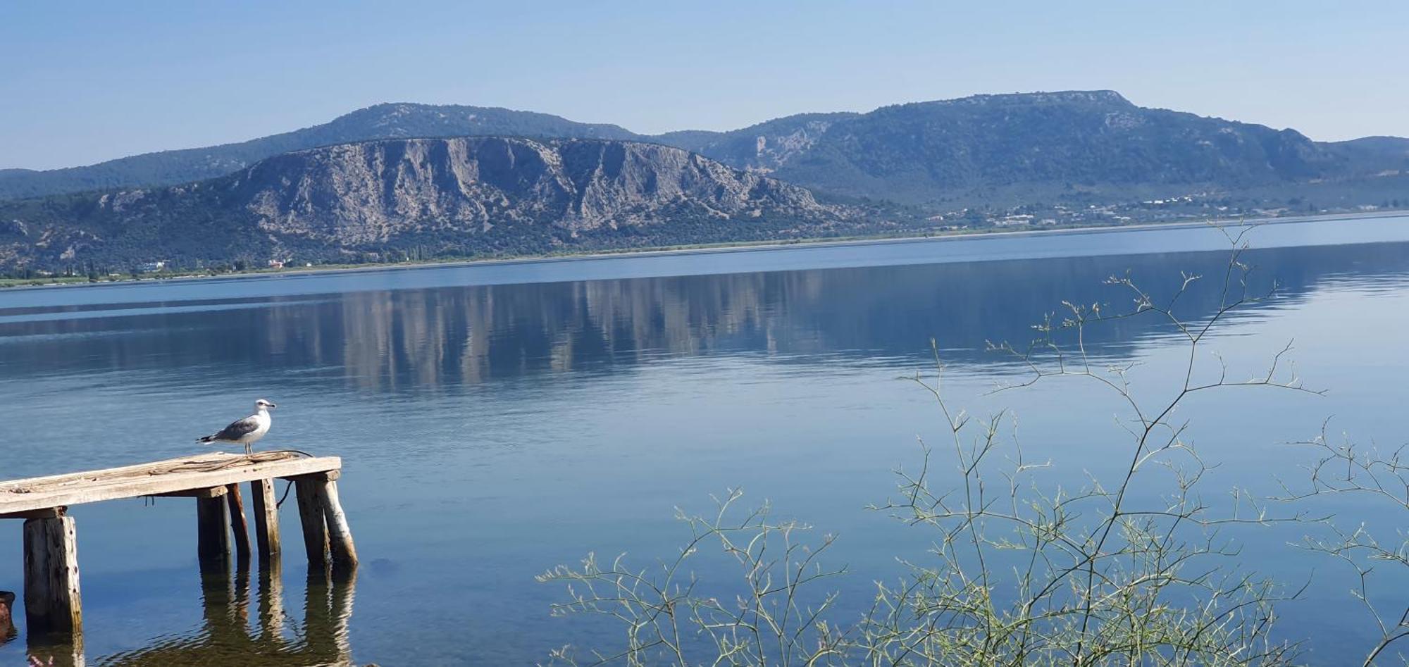 Villa Aggemari Απιδιάς Λάκκος Εξωτερικό φωτογραφία