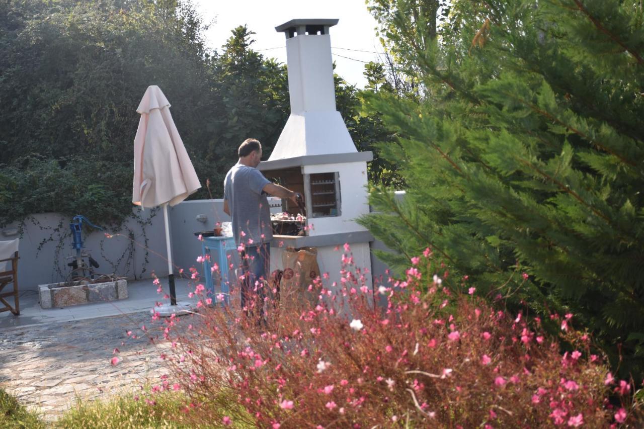 Villa Aggemari Απιδιάς Λάκκος Εξωτερικό φωτογραφία